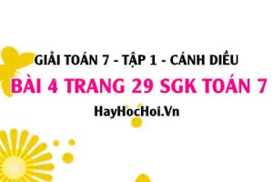 Giải bài 4 trang 29 Toán 7 Tập 1 SGK Cánh Diều